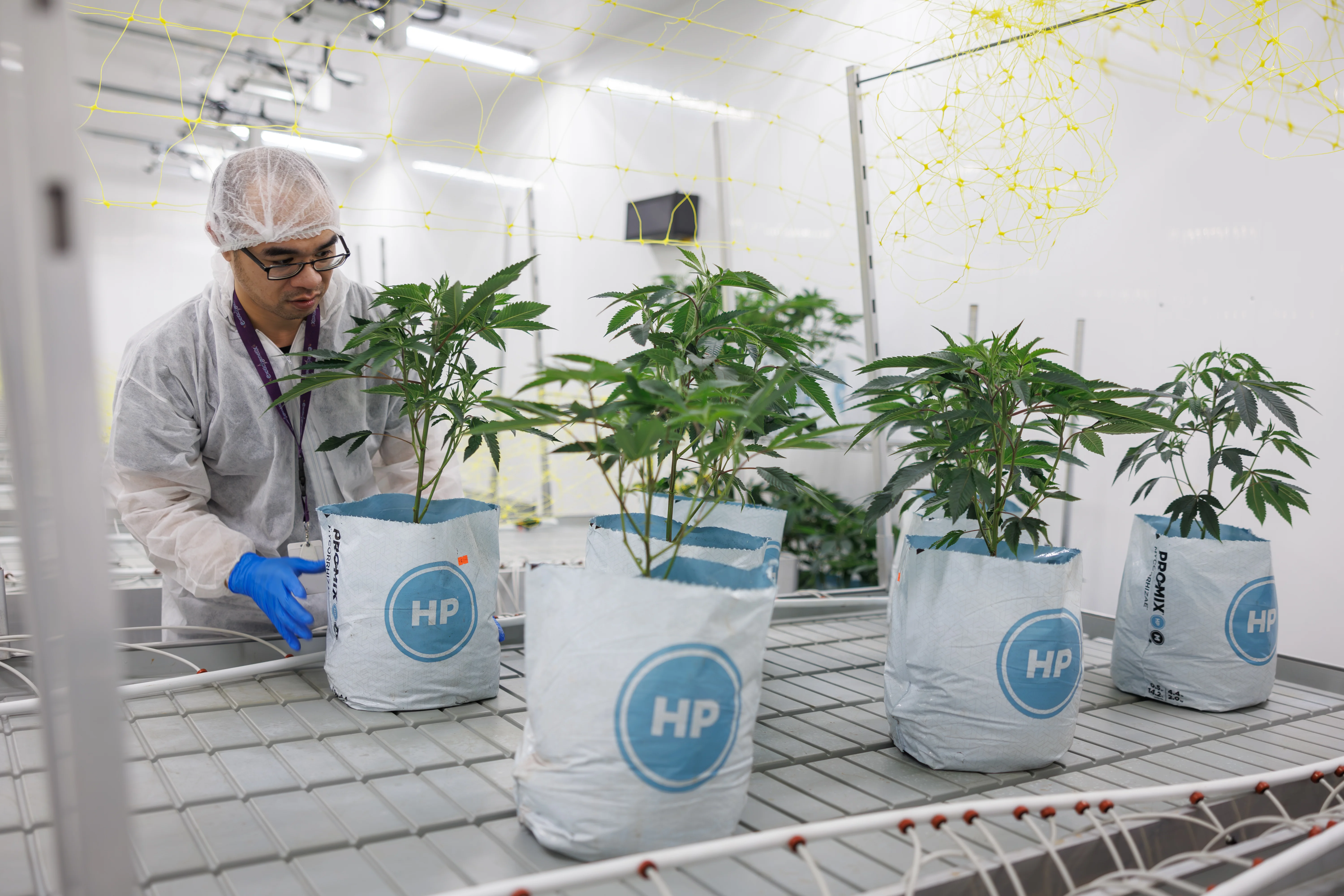 Hands-on cultivation work at PURPLEFARM Fredericton