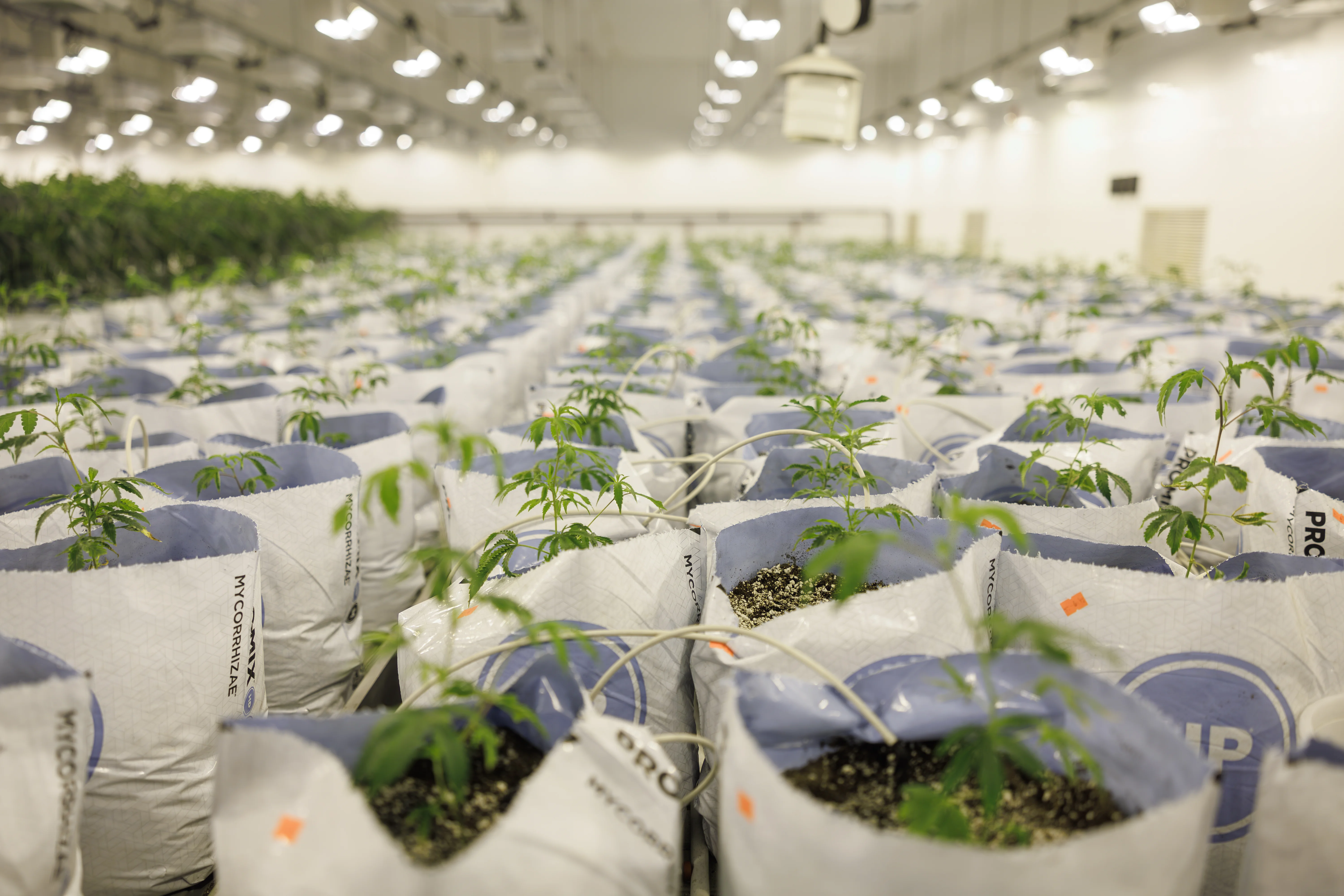 Working aisle inside the PURPLEFARM Johnstown facility