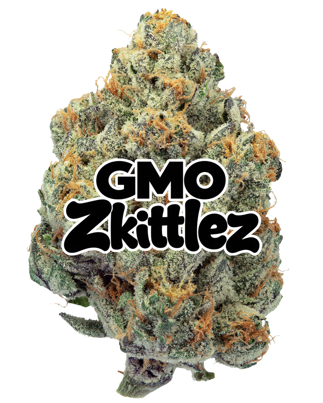 GMO Zkittlez – view 1