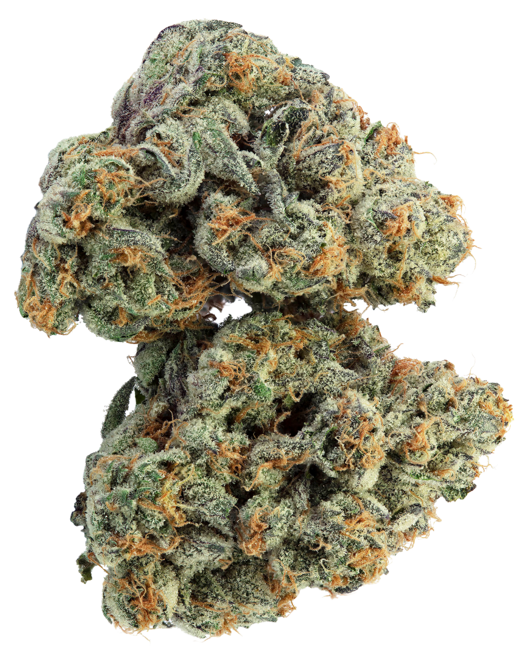 GMO Zkittlez – view 3