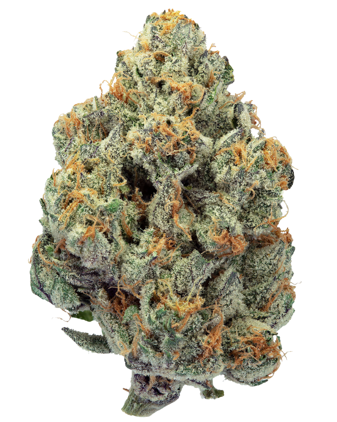 GMO Zkittlez cannabis flower by PURPLEFARM