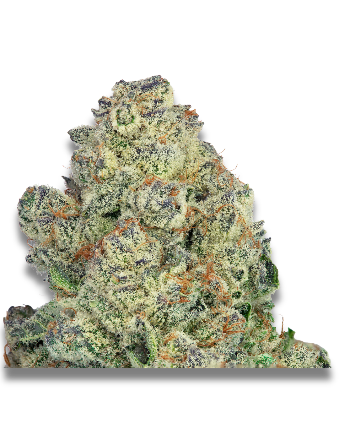 Baker Man – view 5