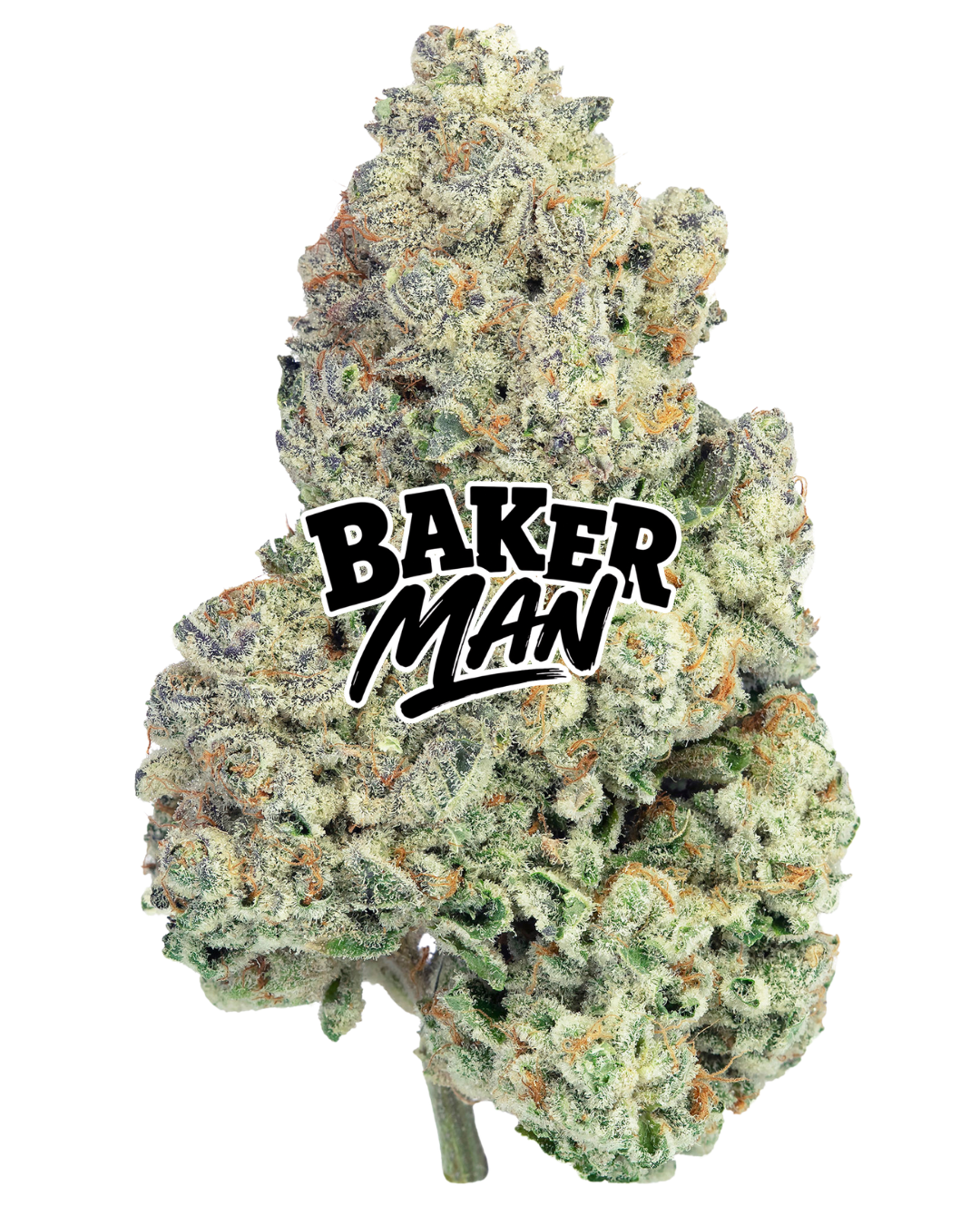 Baker Man – view 1