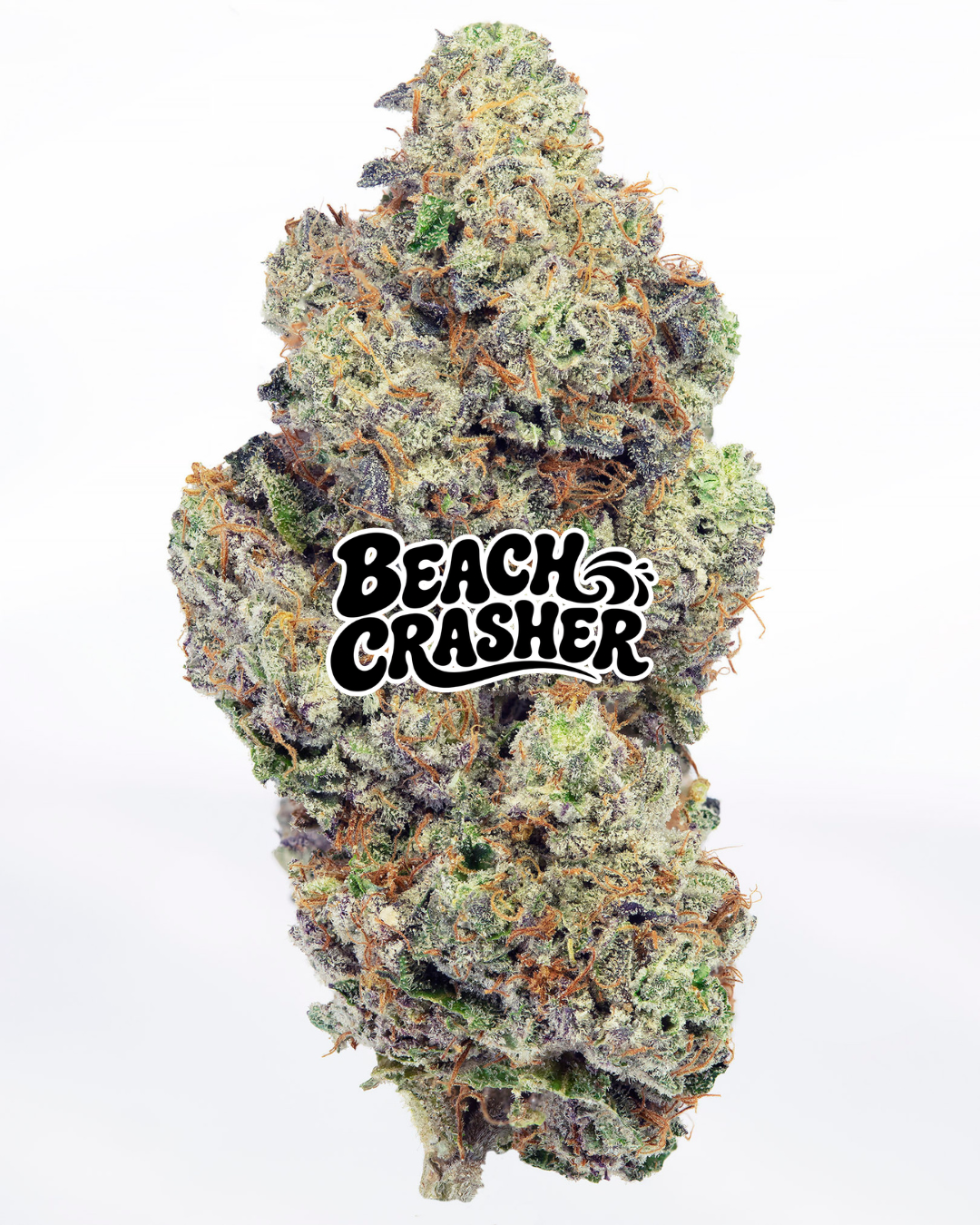 Beach Crasher – view 1