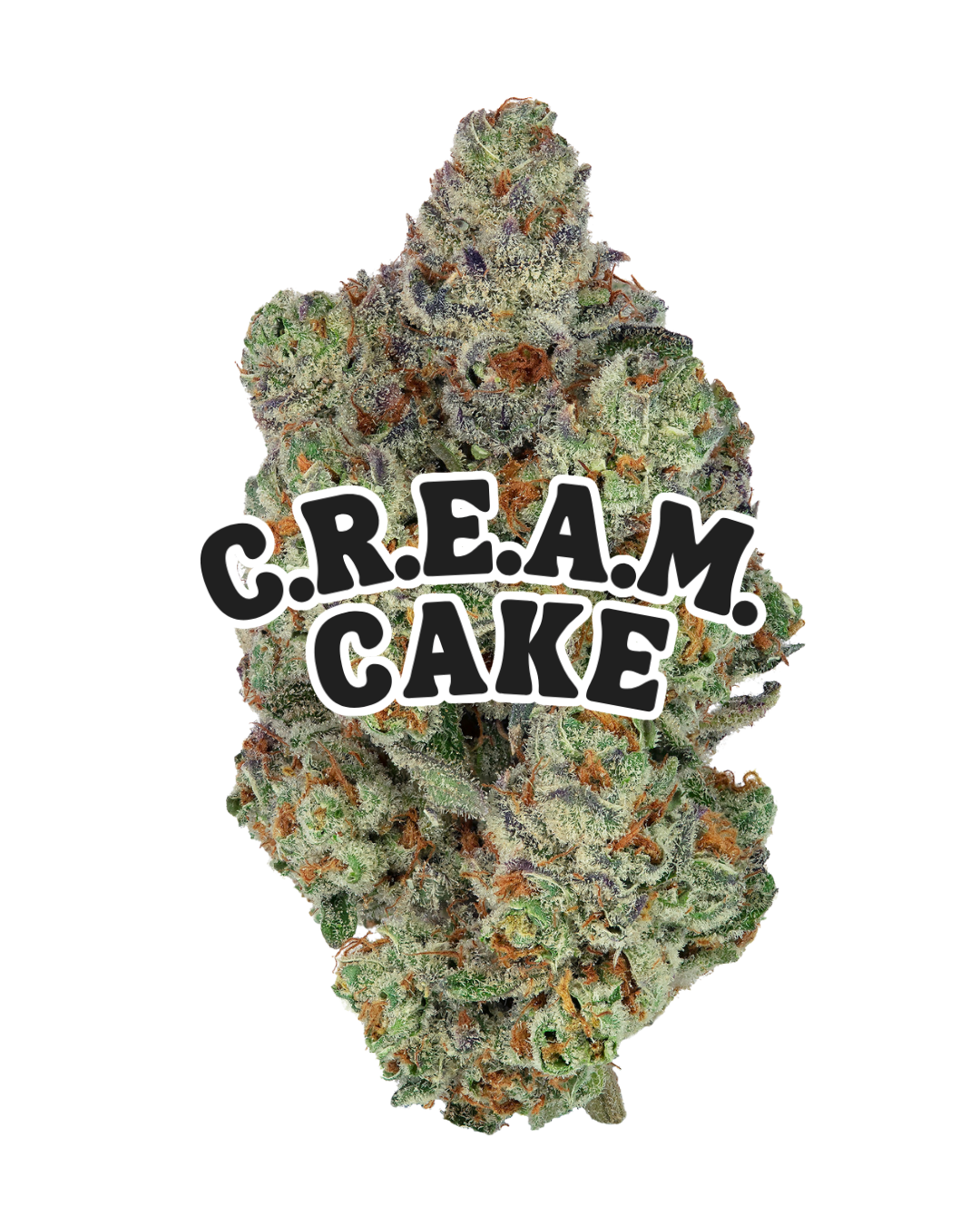 C.R.E.A.M. Cake cannabis flower by PURPLEFARM