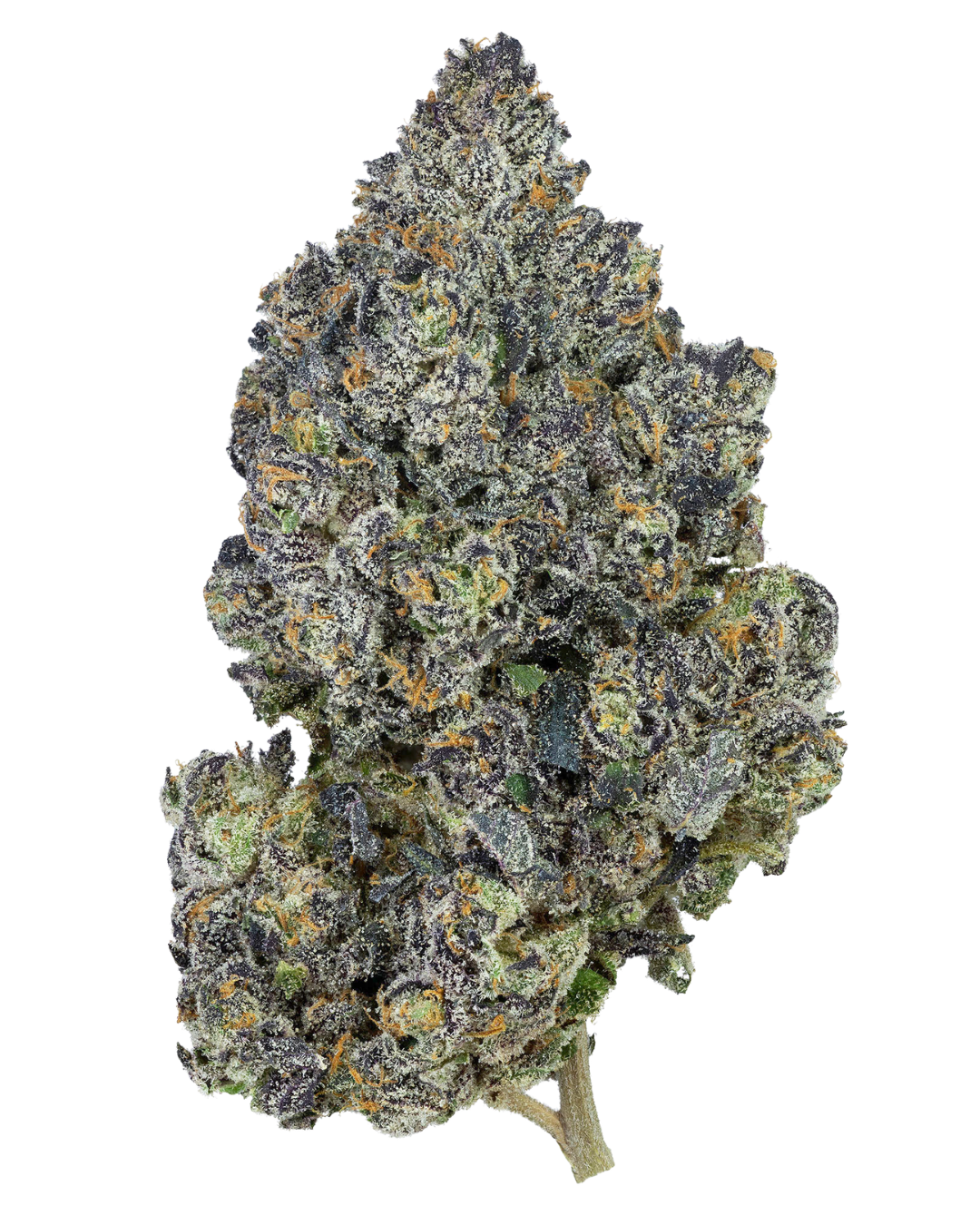 Jokerz – view 2