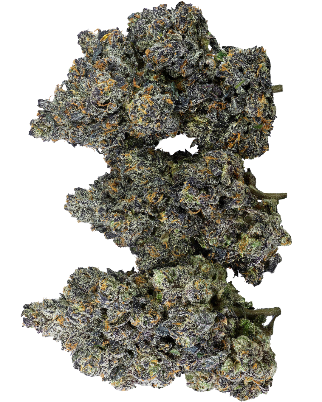 Jokerz – view 4