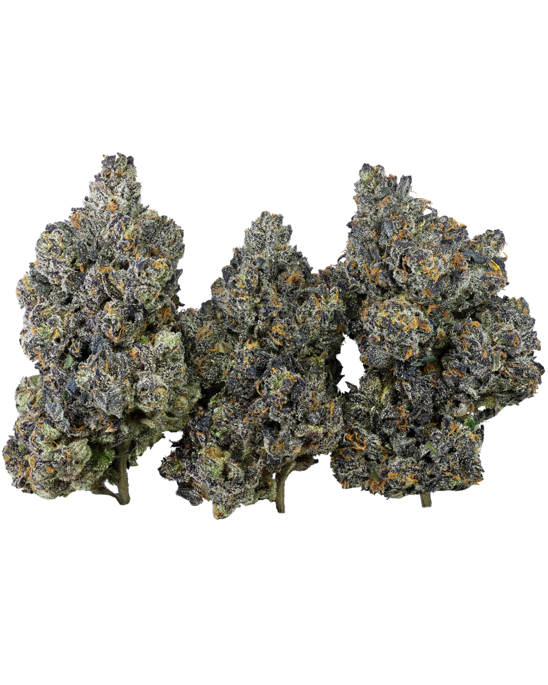 Jokerz – view 5