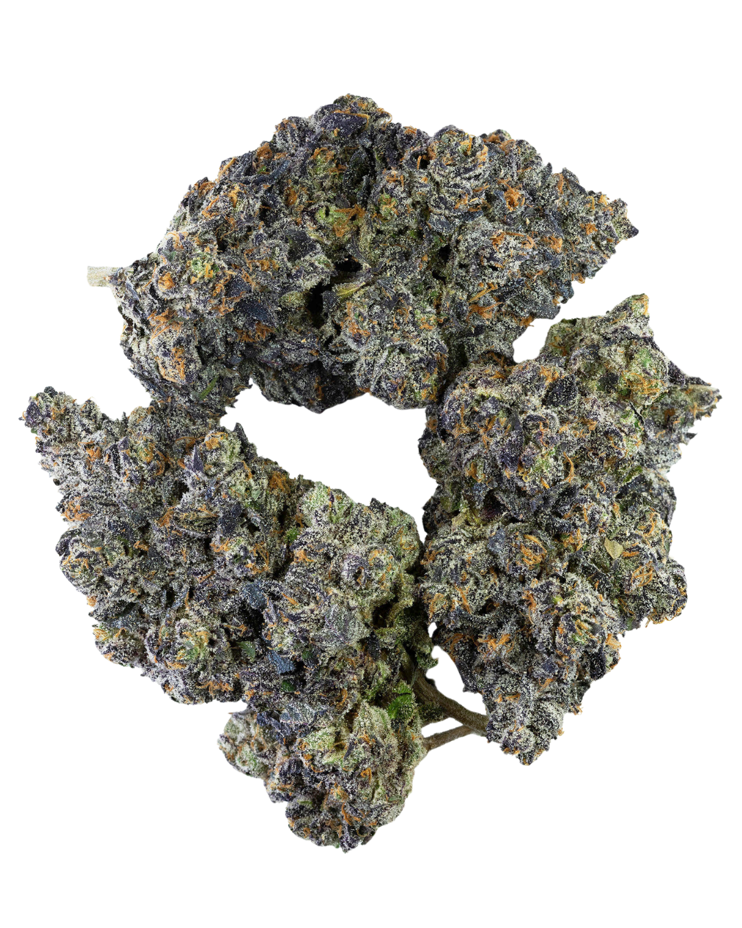 Jokerz – view 6