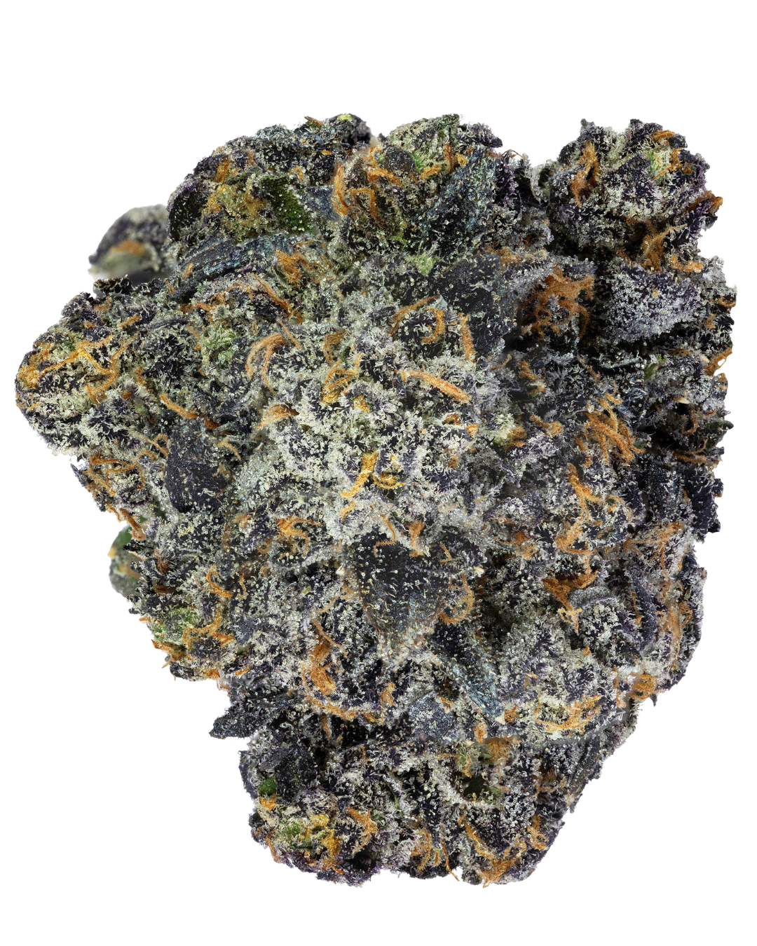 Jokerz – view 7