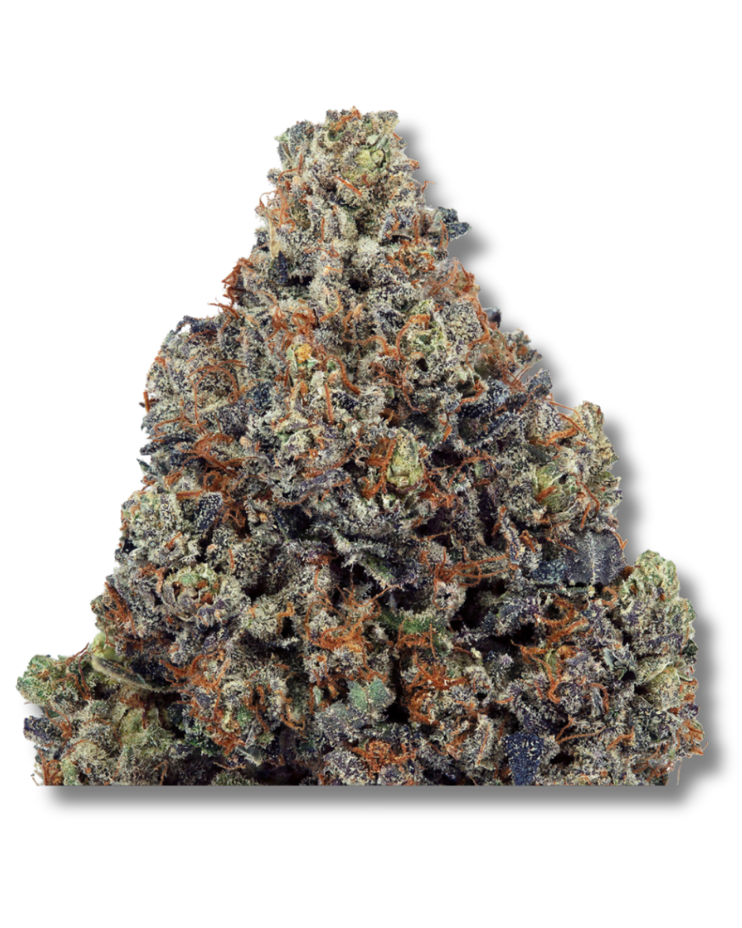 Jokerz – view 8