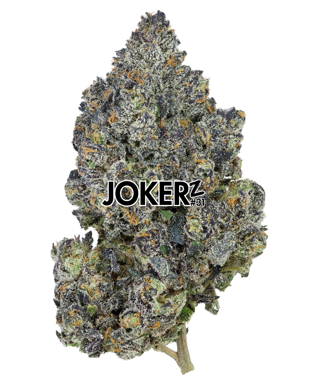 Jokerz cannabis flower by PURPLEFARM