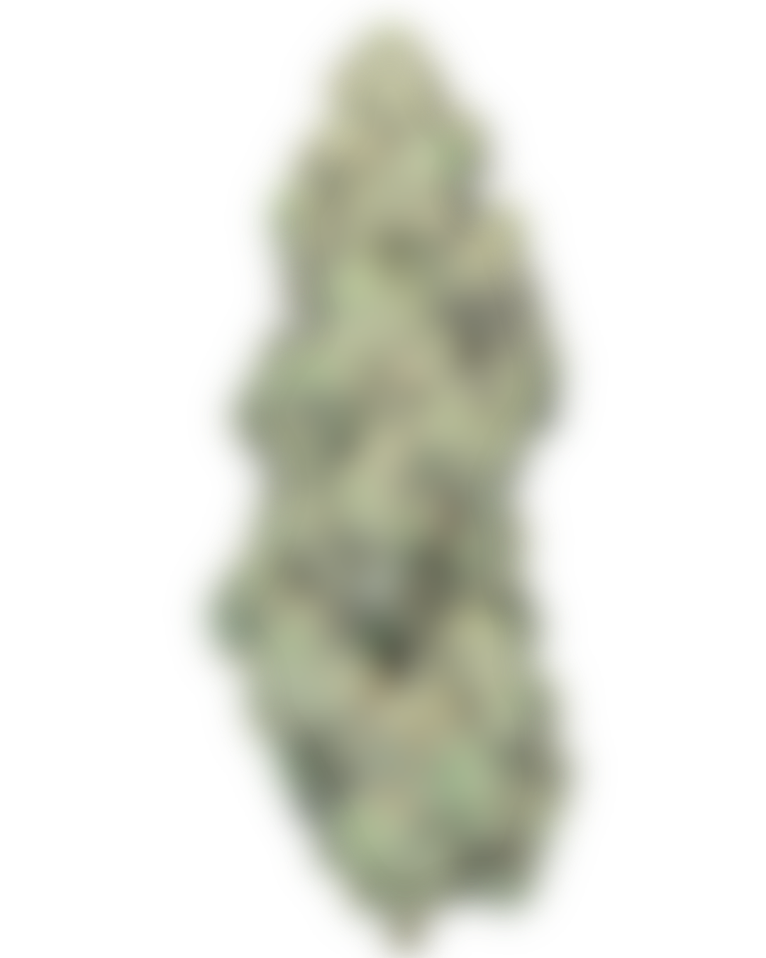 Chem 4 cannabis flower by PURPLEFARM