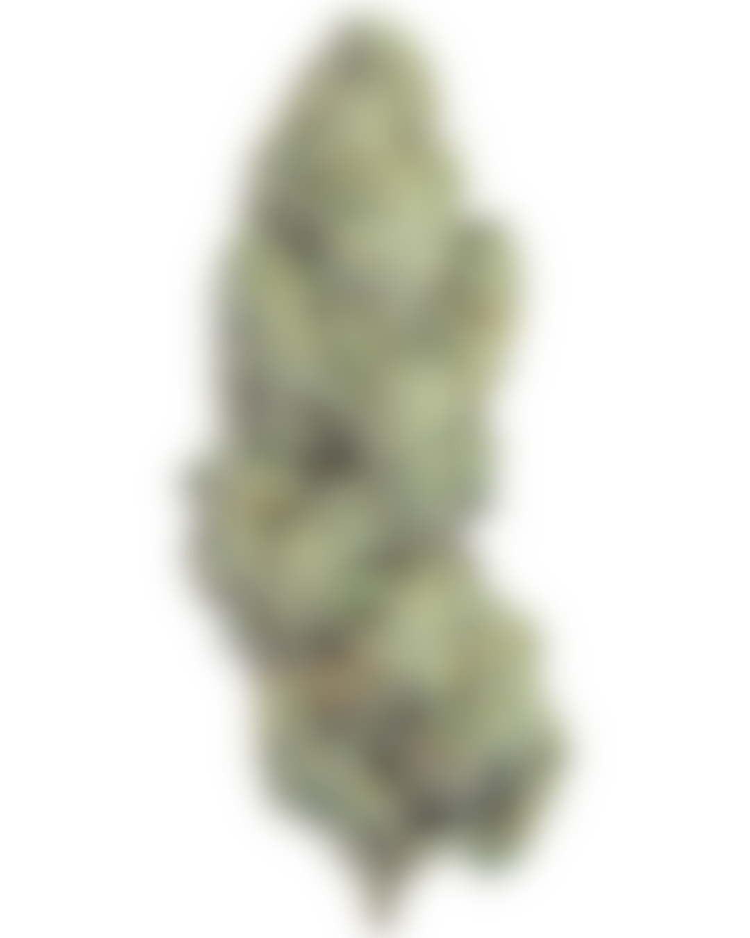Gazzurple cannabis flower by PURPLEFARM
