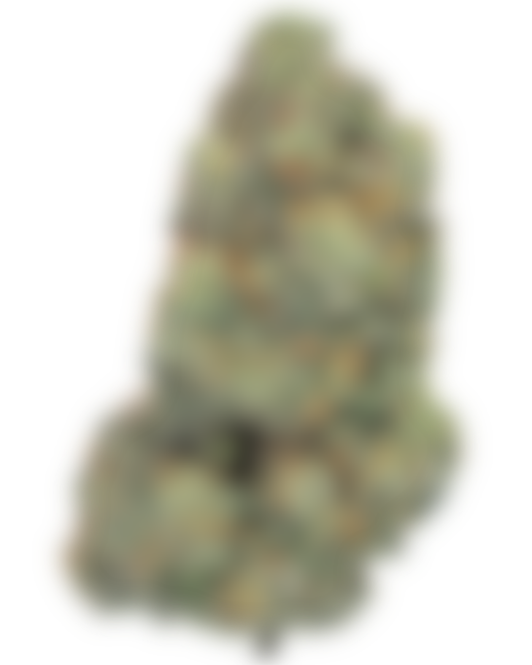 Sour Zushi cannabis flower by PURPLEFARM