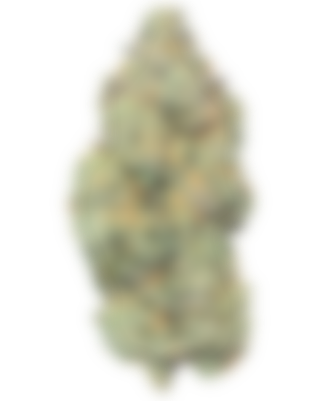 Runtz – view 1