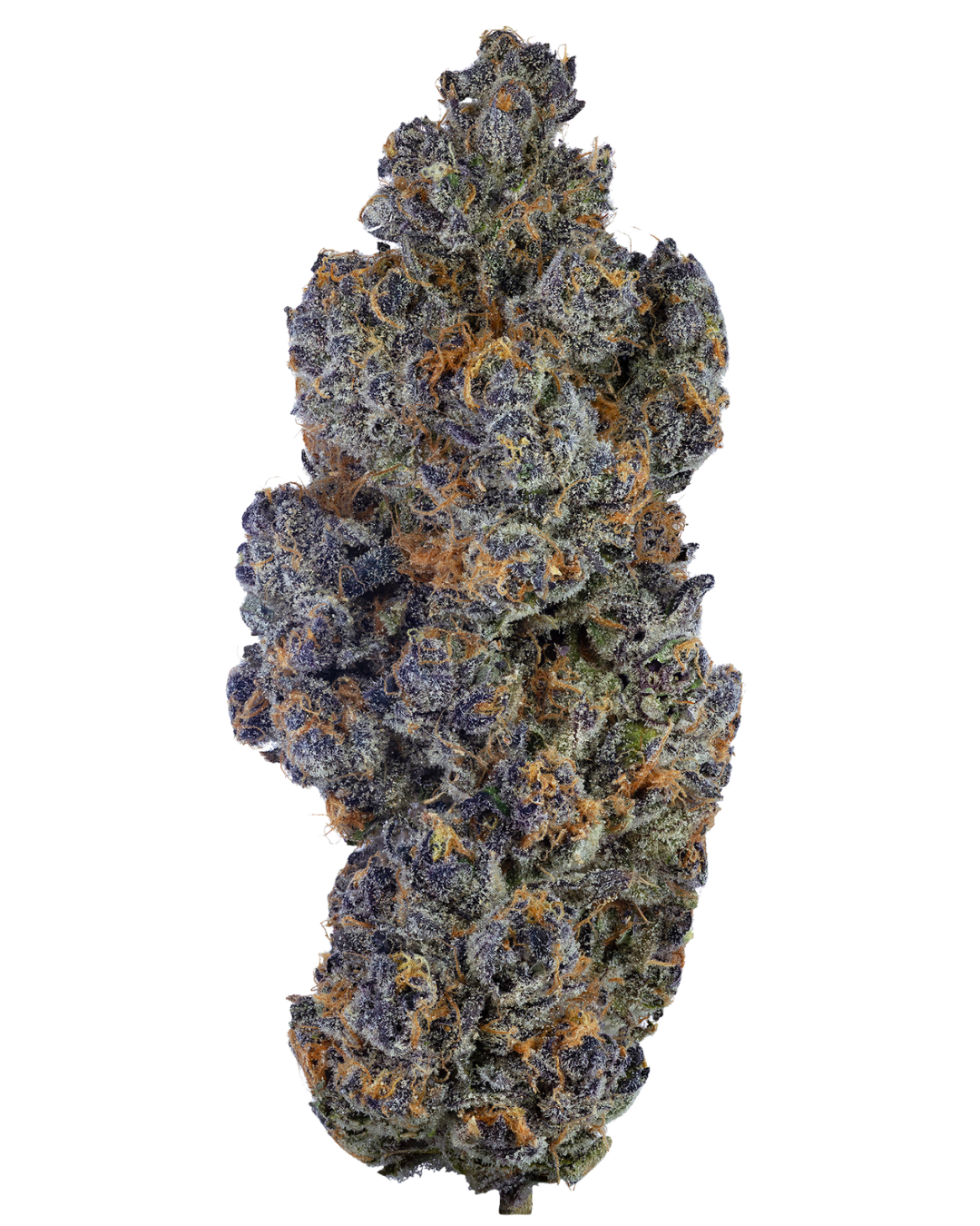 Super Boof – view 2