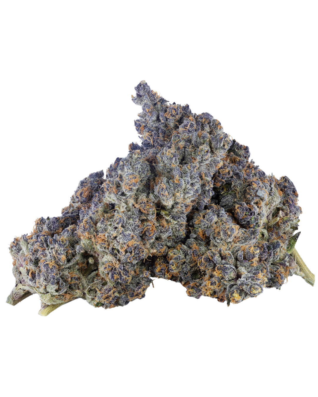 Super Boof – view 4