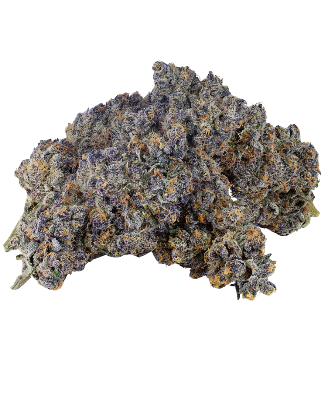 Super Boof – view 6