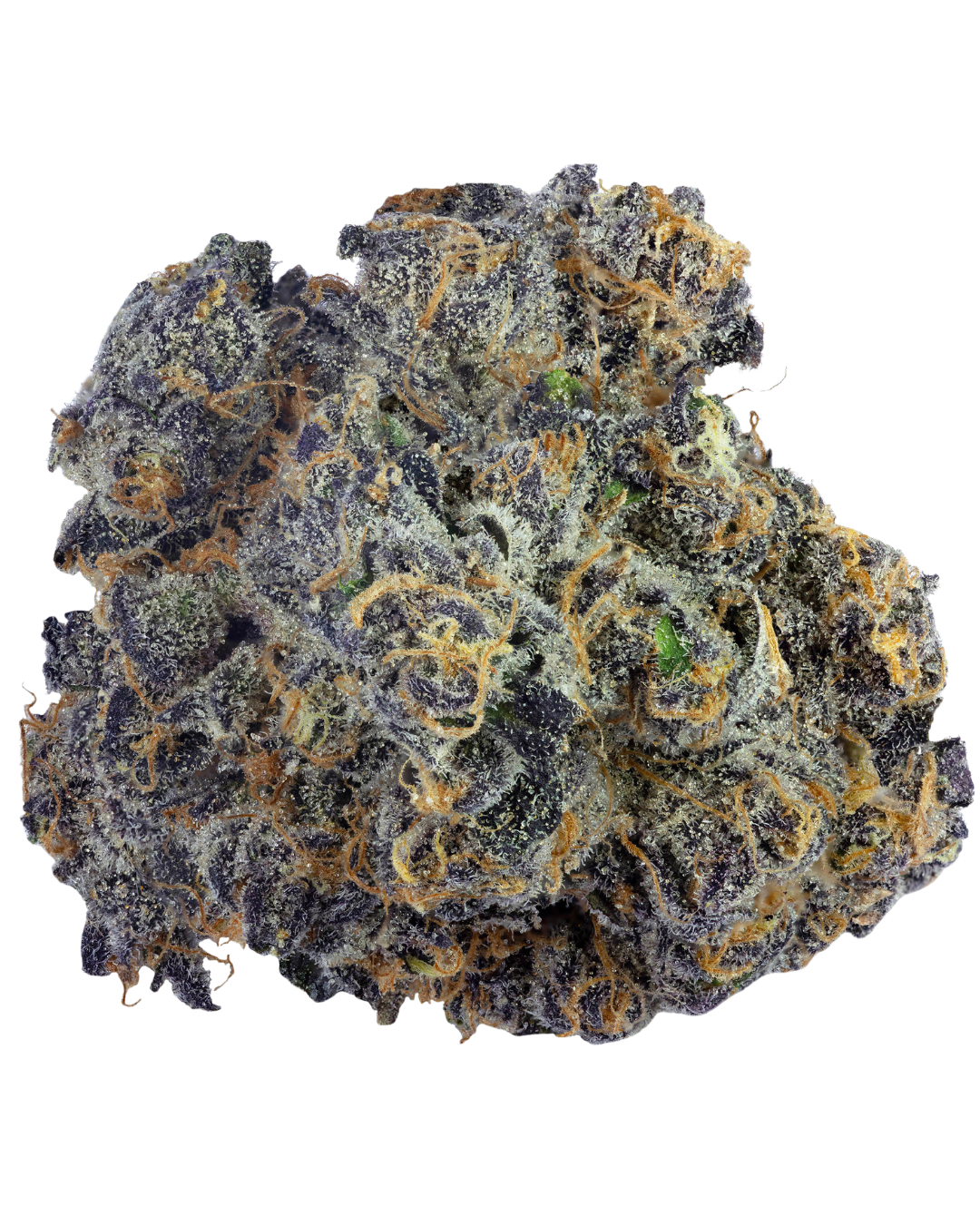 Super Boof – view 7