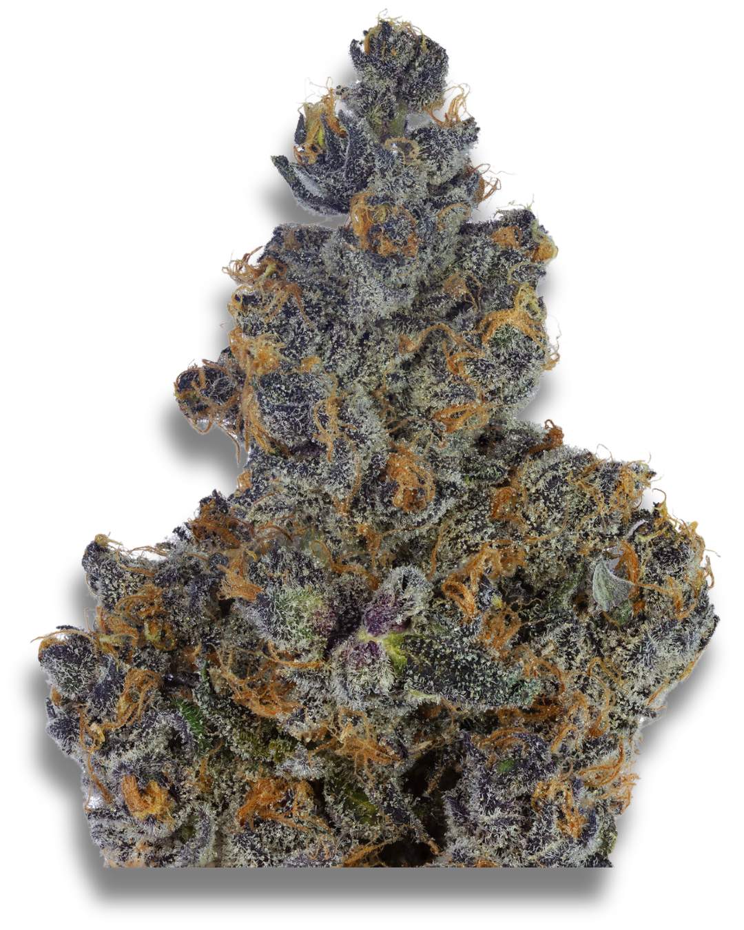 Super Boof – view 8